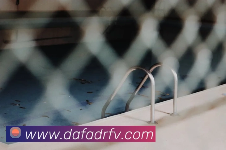 大发彩票平台生态图